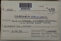 Image Associated With the Occurence